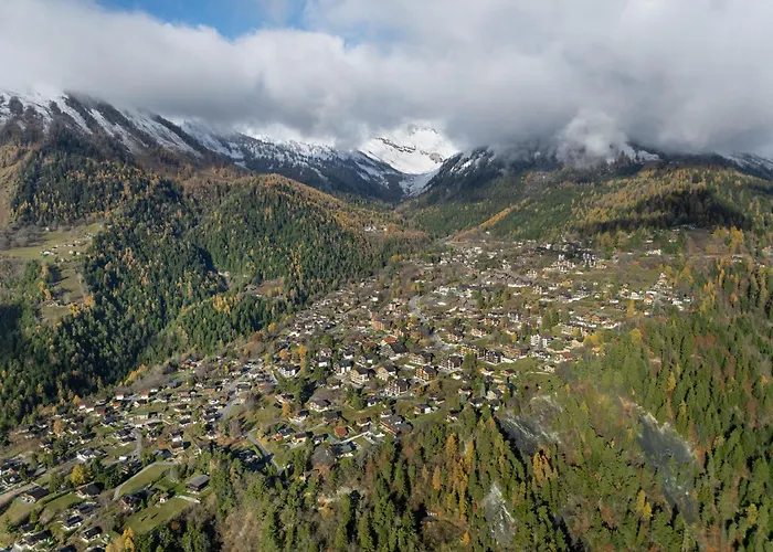 公寓 Eaux-vives 213 By Interhome 奥瓦伦纳茨